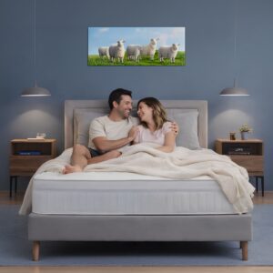 pocket sprung mattress with back support