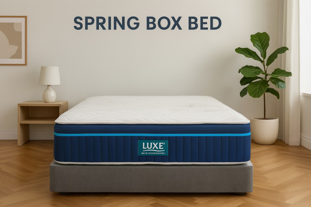 spring box with springs