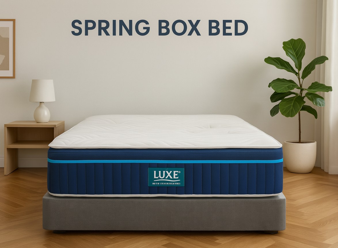 spring box with springs