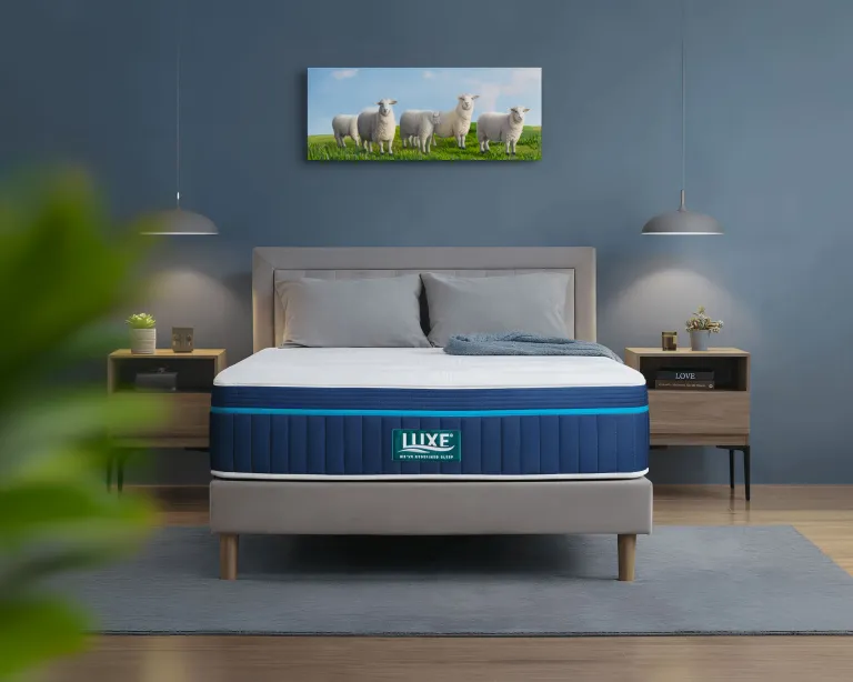 Luxe Nova Feature Image