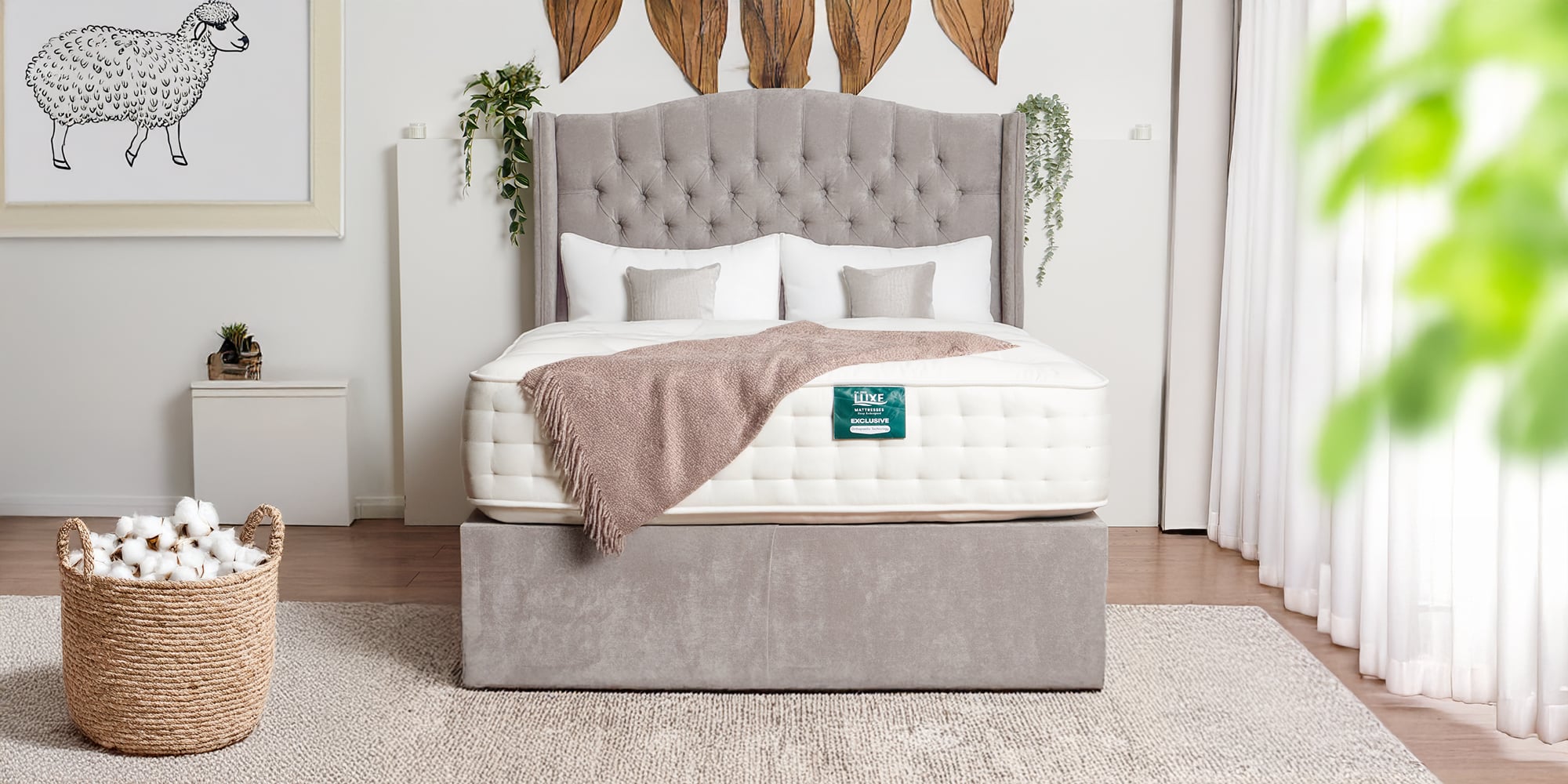 Organic Latex, Crafted for Pure Sleep