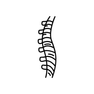 Orthopaedic Mattress