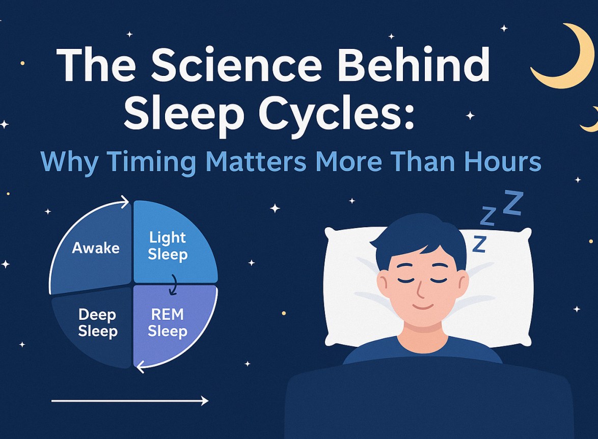 sleep cycles & stages