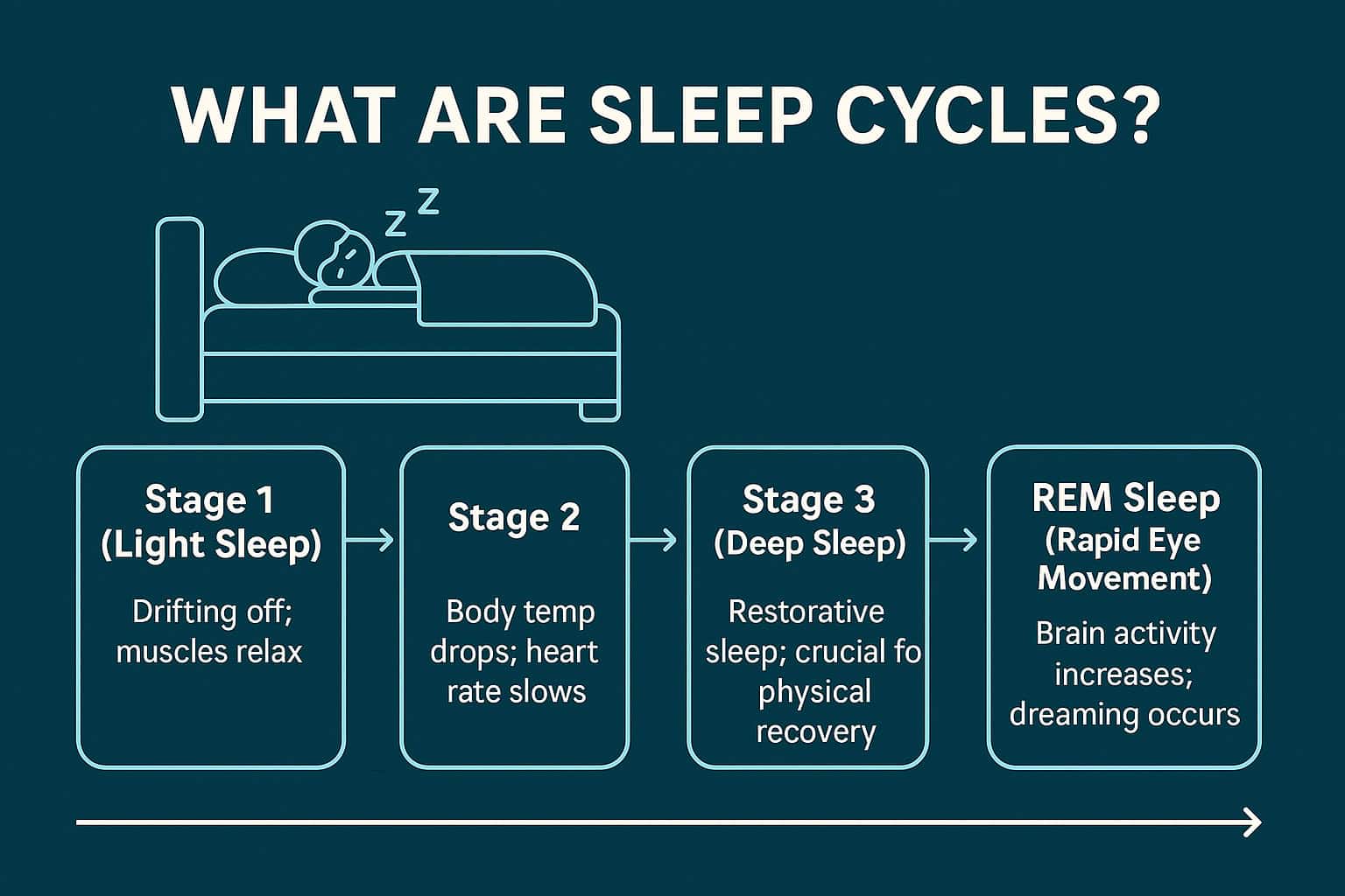 Sleep Cycle Examples The Science Behind Sleep Cycles: Why Timing Matters More Than Hours