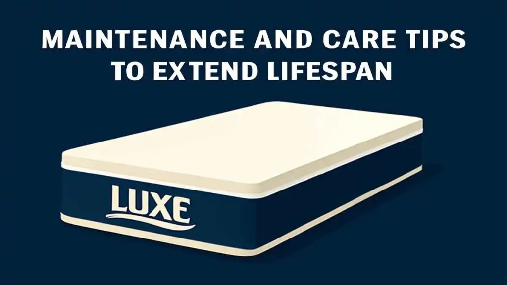 Maintenance and Care Tips to Extend Lifespan