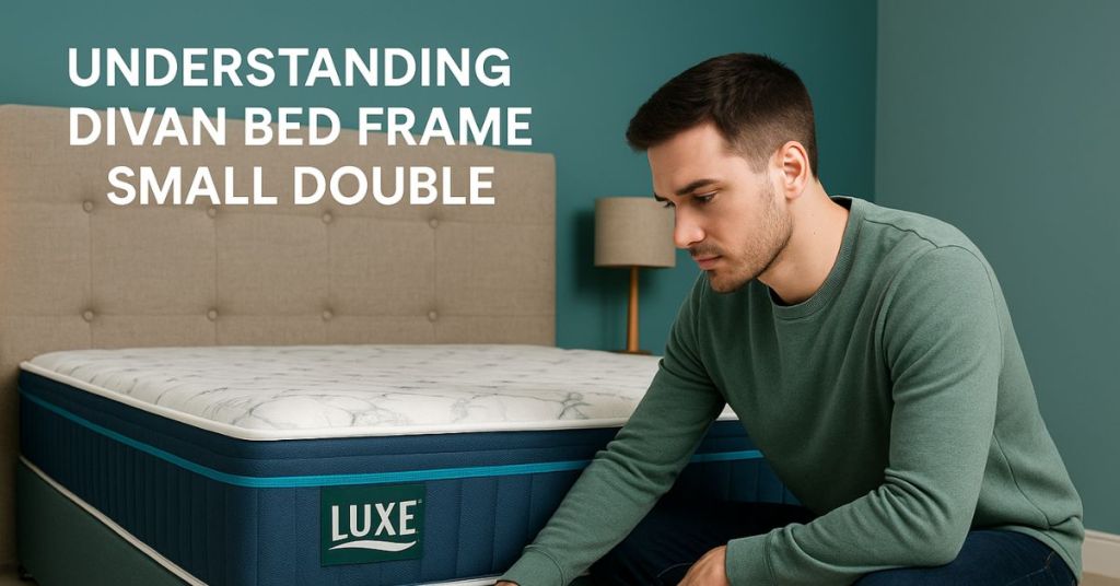 Understanding Divan					</div>
									</div>
						
							<!-- Blog Read More Button -->
				<div class=